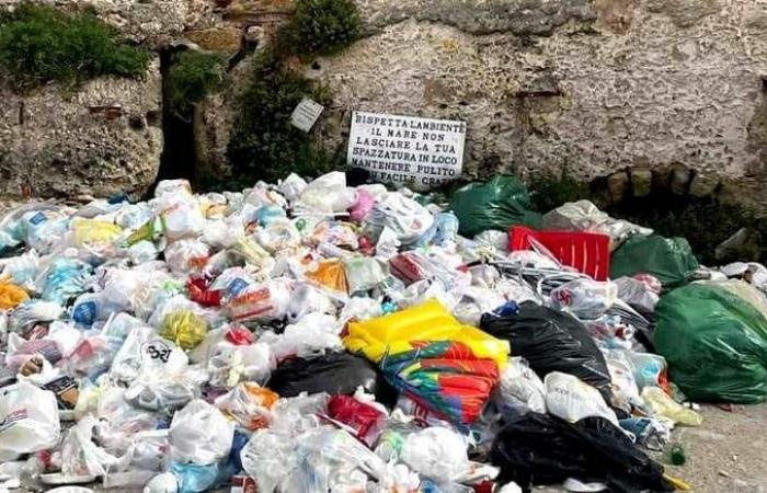 Virgin Mary, beach surrounded by waste and illegal construction: “Nobody takes initiative” – ​​VIDEO