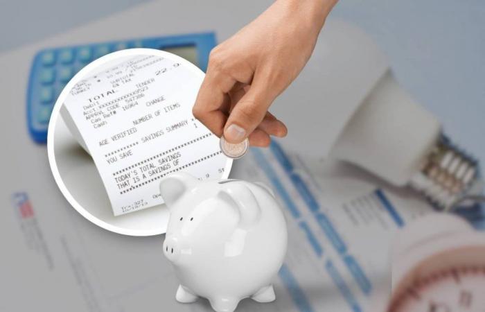 Electricity and gas bills: finally savings for families and just one receipt is enough