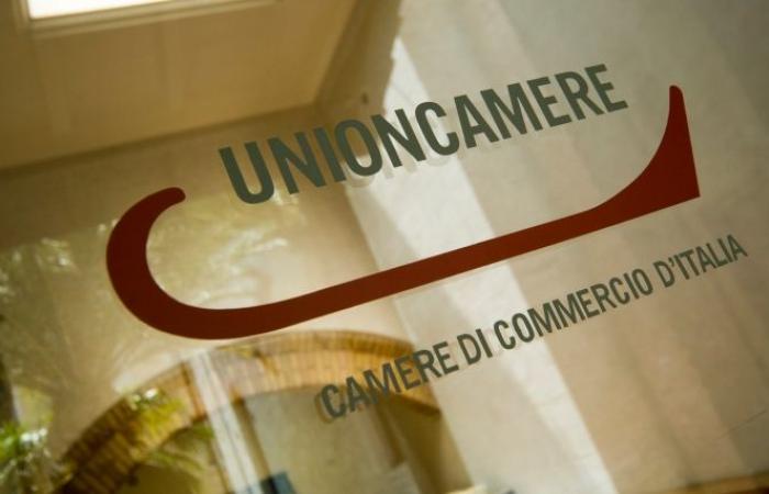 Lamezia, ‘Industrial policies and strategies to encourage economic growth’ event 24 June at Unioncamere