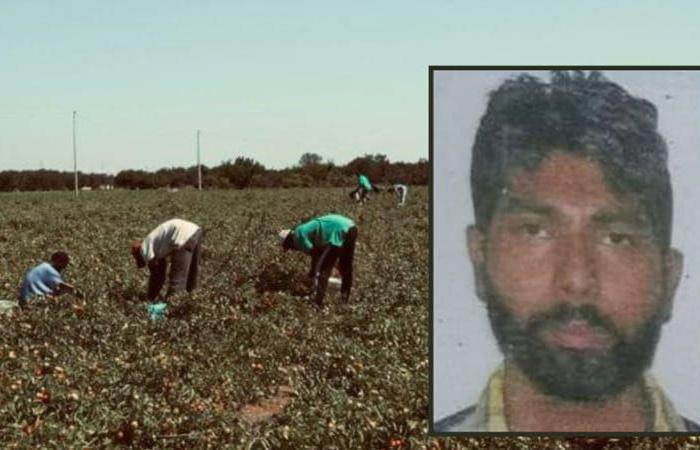 Satnam Singh: who was the laborer paid 4 euros an hour and left on the street in Latina with his arm severed