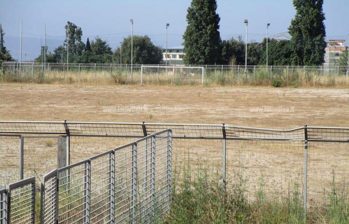 Lamezia, tall grass and neglect in various areas of the city: citizens worried about the risk of fires