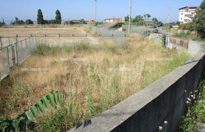 Lamezia, tall grass and neglect in various areas of the city: citizens worried about the risk of fires