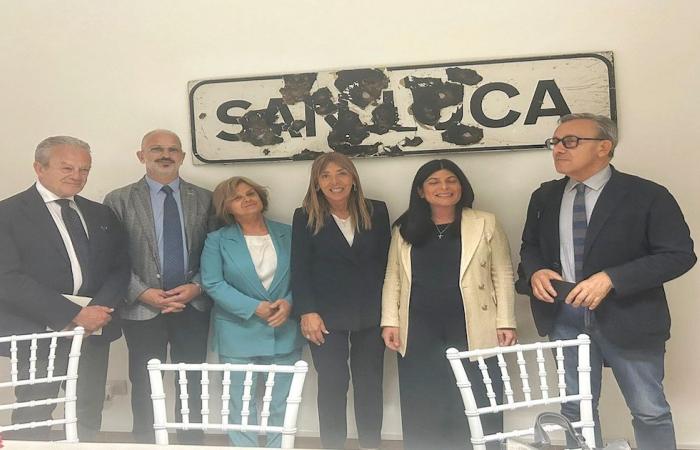 San Luca: after the anti-mafia commission, here is the access commission