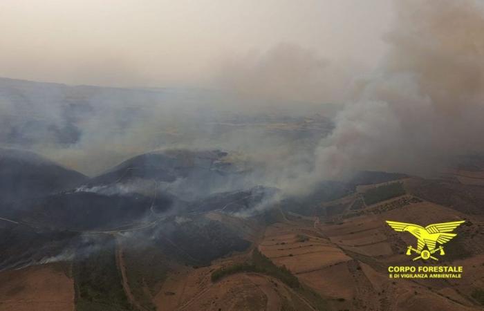 Inferno fires in Sardinia, 19 in a few hours: alarm in Guasila and Macomer, countryside and plants in ashes