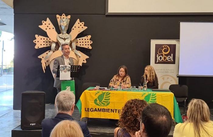 Legambiente: “A controlled landfill within the Crotone site should be evaluated”