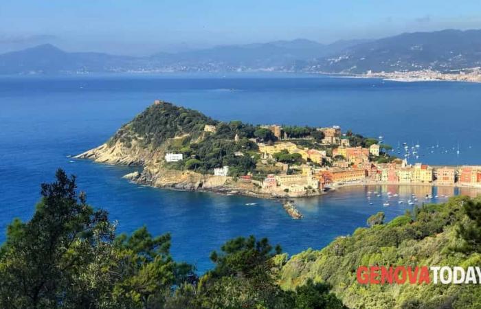 Cleanest sea in Italy | Ranking of regions