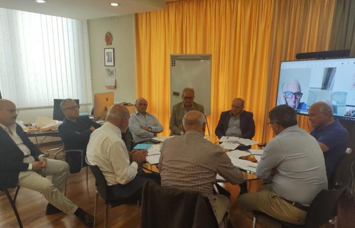 Campania Water Authority, the Executive Committee approves the Caserta District Area Plan
