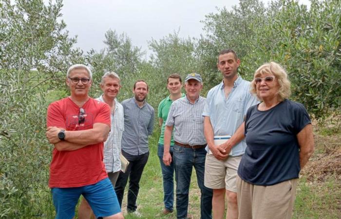 From Champagne visiting Olivola with Cia Alessandria – Italia News Media