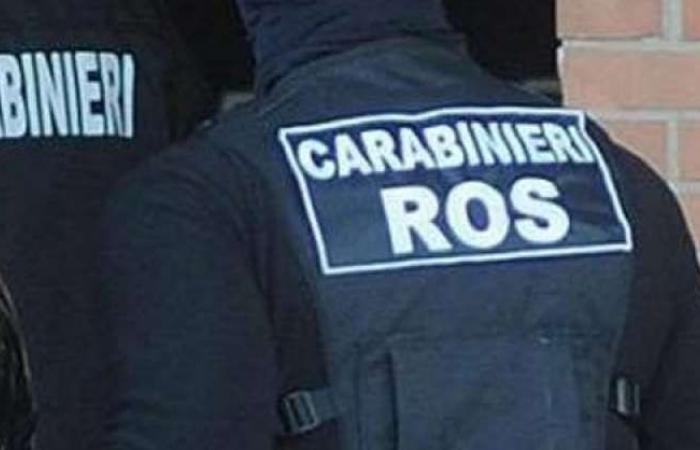 ‘Ndrangheta and murders: 14 arrests, the Abruzzo police also in action – Pescara