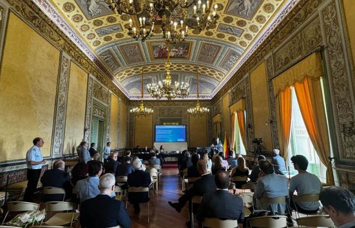 Training in Sicily: in 15 years, over 13 thousand companies belonging to FondItalia for almost 12 million euros in contributions paid – BlogSicilia