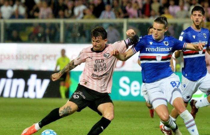 Palermo transfer market, Tuttosport: “Bivio Brunori, if they are pink they don’t lower their demands…”