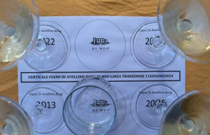 Vertical of Fiano di Avellino Linea Tradizione Di Meo from 2022 to 2006 – Luciano Pignataro Wine Blog