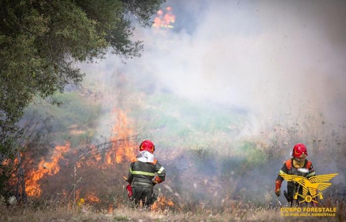 Fires: 19 interventions in Sardinia alarm in Macomer and Guasila | News