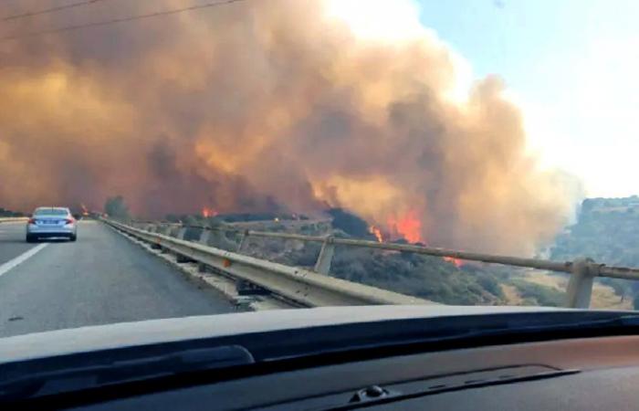 Forest fire prevention, the rules to follow on the A24 and A25 according to Strada dei Parchi