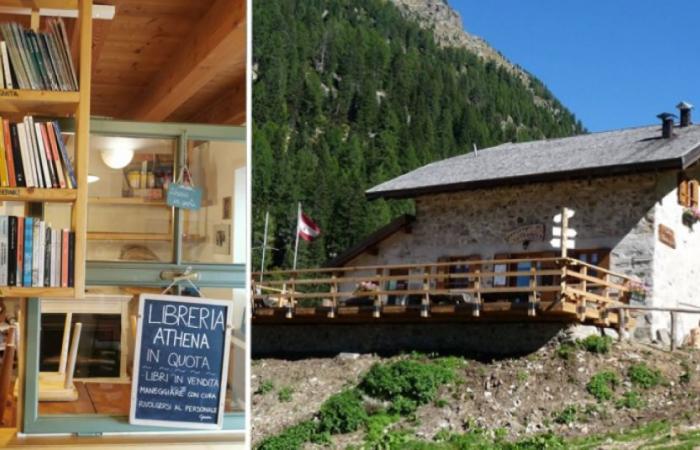 A bookshop at an altitude of 1,800 “to offer an additional service in the refuge”. The manager: “The cell phone doesn’t work here: so we enjoy the little things”