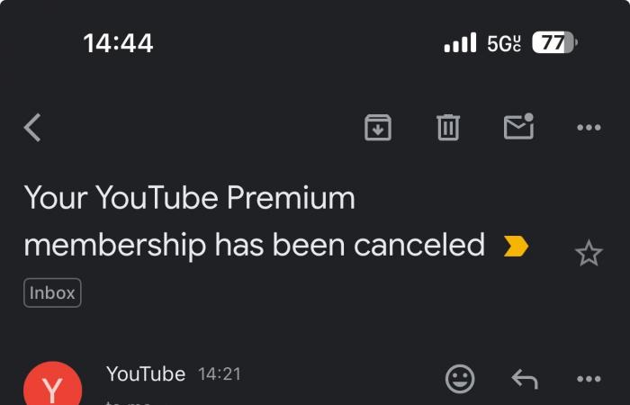 YouTube Premium: stop low-cost subscriptions with VPN