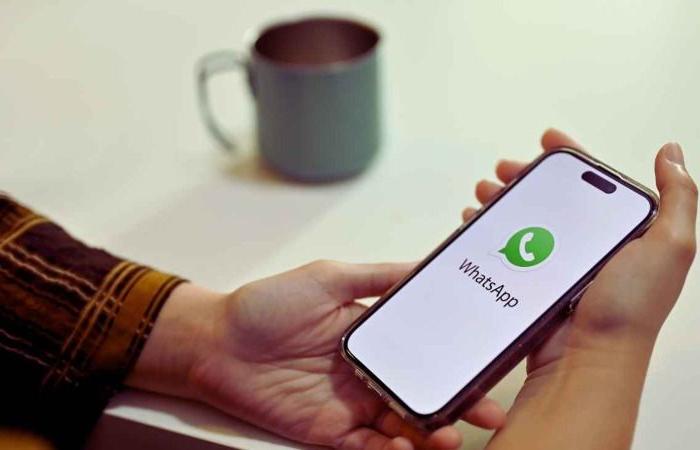 Are you no longer receiving WhatsApp notifications? Solve it immediately by following these simple instructions