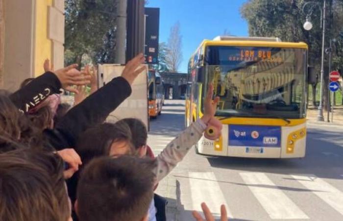User writes to the Region and Municipality of Lucca: “Drastic reduction in bus trips in the summer”