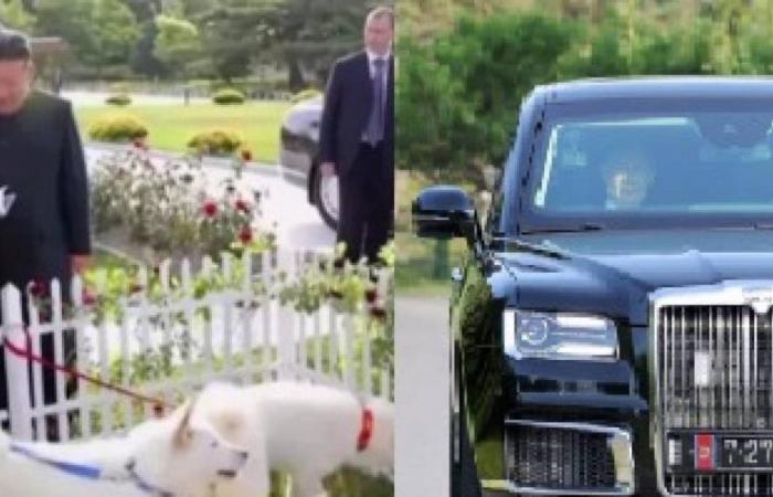 Luxury cars, the mysterious box and legendary dogs: what the gifts between Kim and Putin reveal