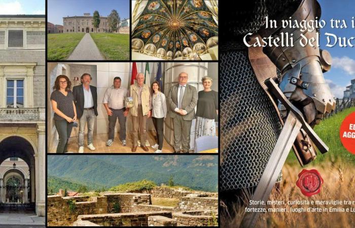 Books, Castles of the Duchy, expanded edition: there is also the beautiful Guastalla