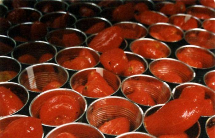Tomato, processing: agreement between the parties, average price between 150 and 160 euros per ton