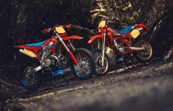 TMs are red again! All the news on the new enduro bikes made in Pesaro from the Italian GP – News
