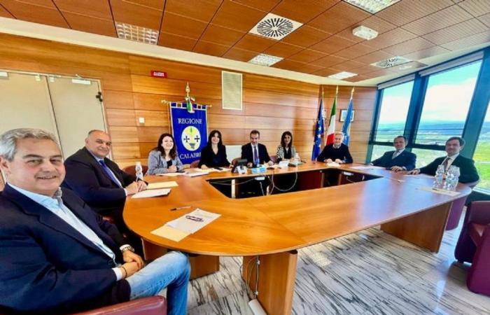Calabria, the measures of the regional council. All the DETAILS