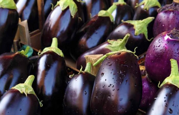 For parmigiana, it’s better to wait until Christmas: the price of aubergines is rising again
