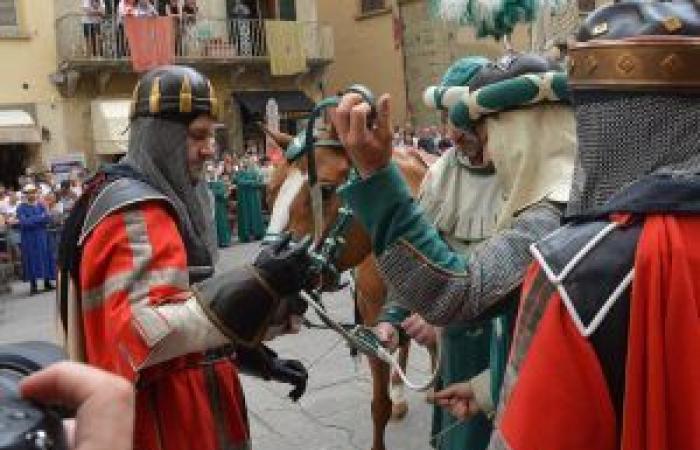 Arezzo: Horse branding ceremony of the 145th Giostra del Saracino – Brontolo has his say