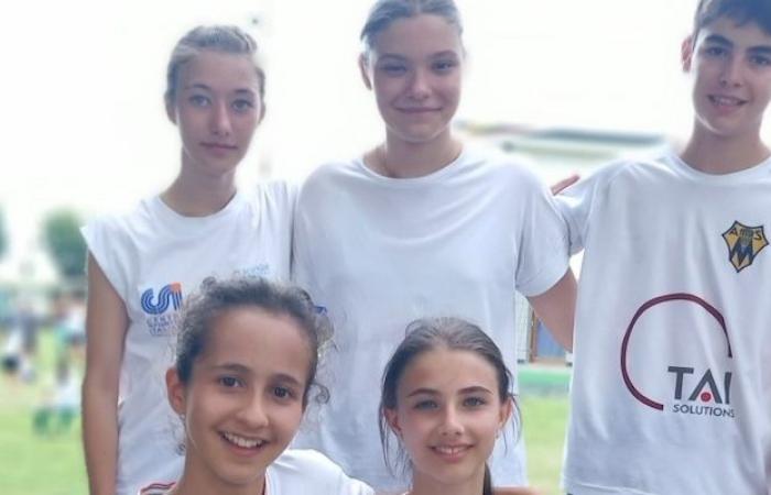 Verderio: in 50 at the 3rd edition. of the Viridevolley Volleyball-Day