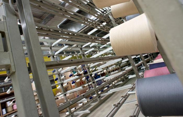 Manufacturing in the Marche region declines in the first quarter of 2024