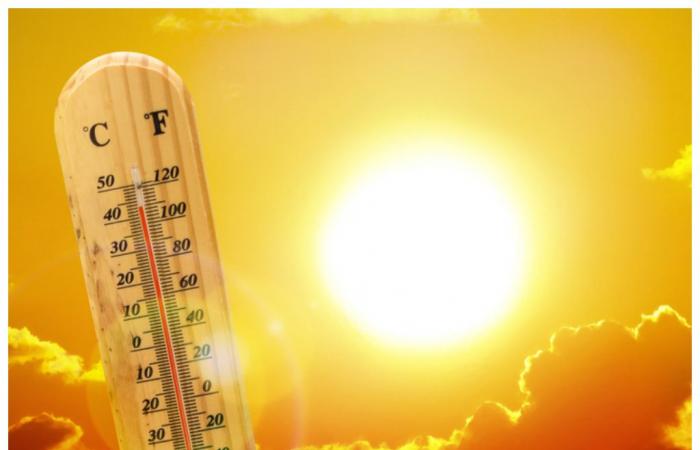 the Hot Plan is triggered, over 5 thousand people at risk. “Dress lightly, avoid alcohol and frozen drinks. Don’t stay in the sun during the hottest hours”/Here are some useful tips
