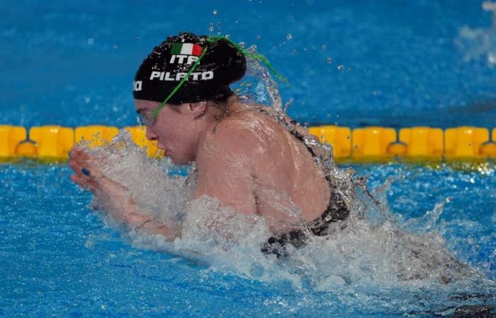 Swimming, Pilato and Martinenghi excellent in the 50 breaststroke heats at Settecolli. Well Miressi, Ceccon controls