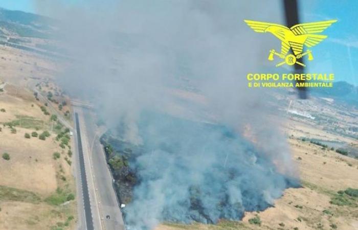 Today 20 fires in Sardinia: helicopters in Collinas, Nuragus and Bolotana | News