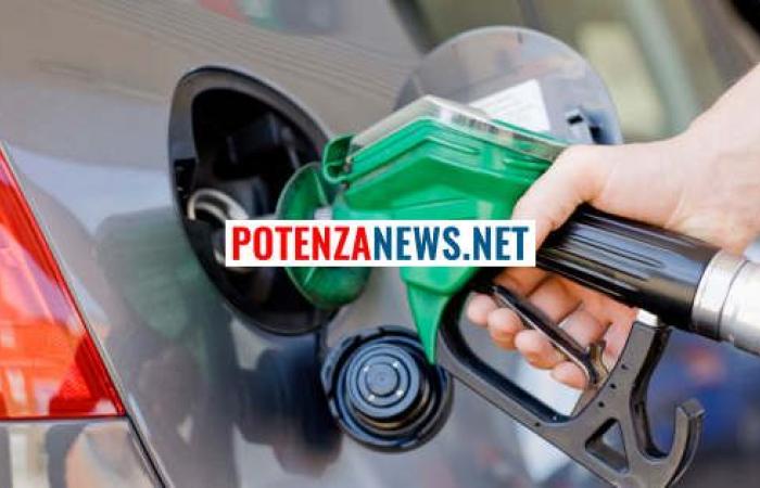 The price of petrol and diesel is rising again: here is the latest news