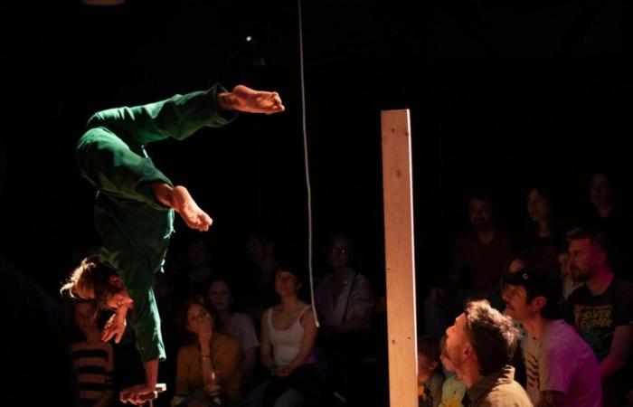 Events 23 June in Bologna and surrounding areas: Max Pezzali at the Dall’Ara or the Magda Clan circus