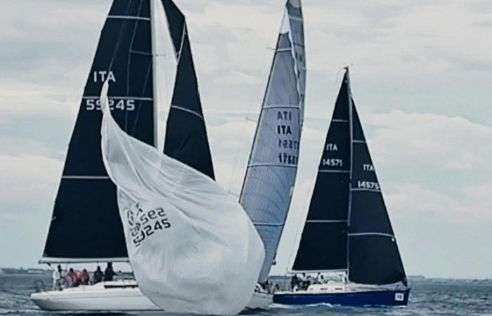 Lega Ambiente confirms the “three sails” to the sea of ​​Trani