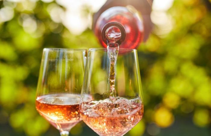 These are the 12 best rosé wines from Sicily, chosen by Gambero Rosso