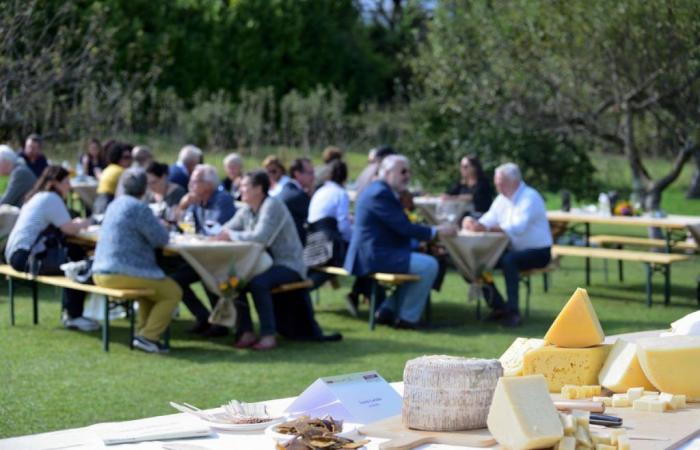 Fvg, gustoCarnia returns and opens the new edition with the “Family Picnic”
