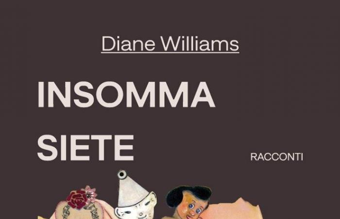 American avant-garde: the flash fiction of Diane Williams