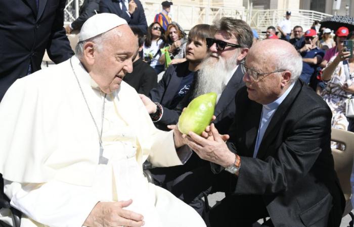 Don Augusto gives the Pope the cedar of Calabria: “unique and indescribable emotion”