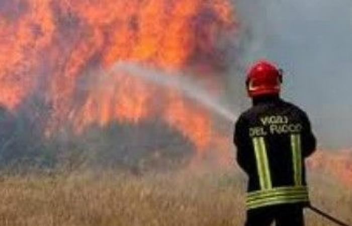 Forest fires in Puglia: the report from the Fire Brigade – Pugliapress