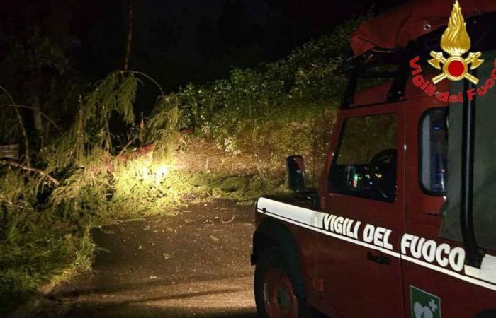Wave of bad weather, over 340 interventions by firefighters in Lombardy