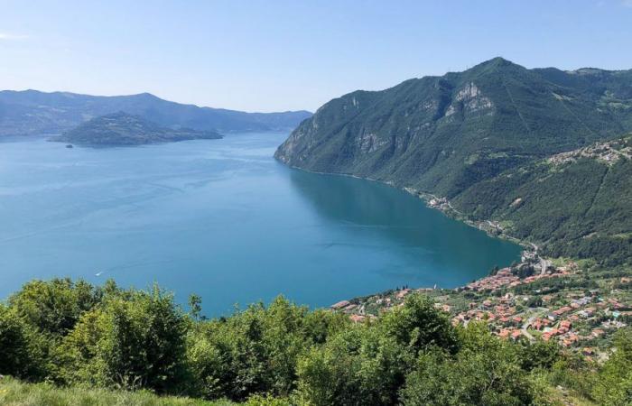 Lake Iseo, possibility of bathing: the situation on the Bergamo side
