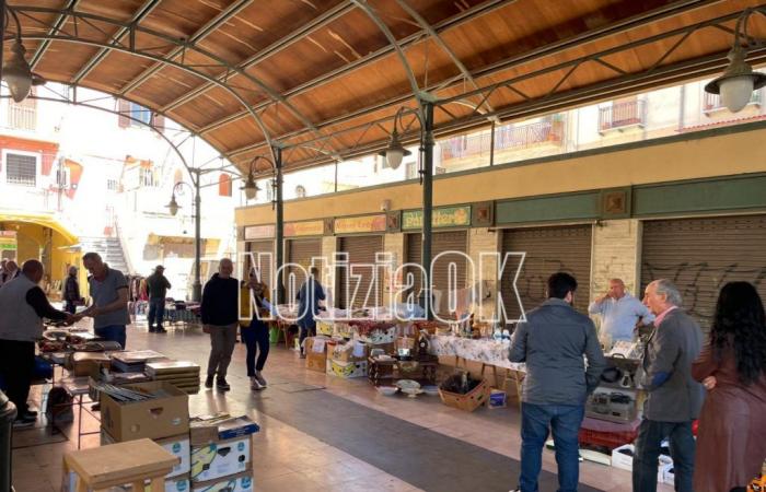 Crotone – 30 spaces for the second-hand market: the notice has been published