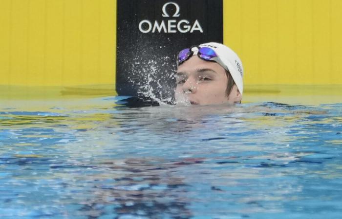 Swimming, Hubert Kos ready to monopolize the scene in the 200 medley in Belgrade. Hungary on the shields