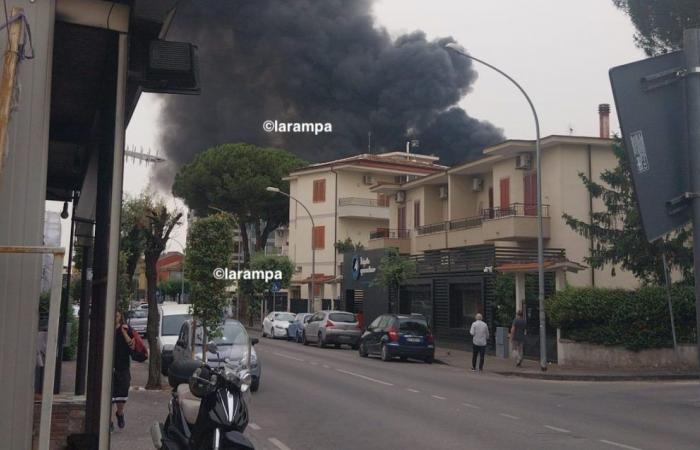 Aversa. Viale Europa fire, dioxins and furans below reference values