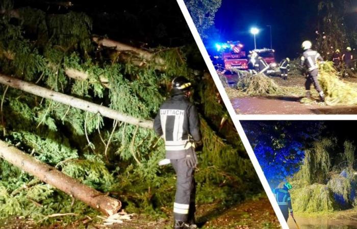 Violent gusts of wind and hailstorms: bad weather gives Northern Italy no respite