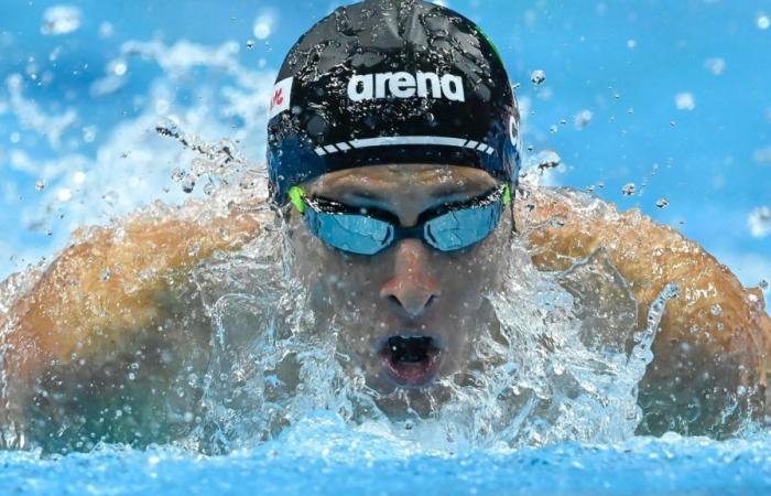 Swimming: Settecolli; gold and Paris pass for Carini in the 200 butterfly
