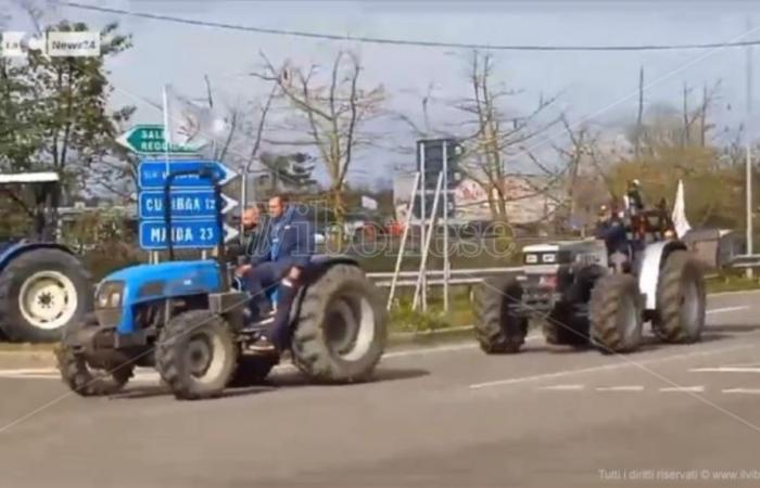 A day of events and mobilizations in Calabria against the agri-food crisis